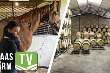 Detecting early heart health issues in horses / Best Cabernet in the world: Farm TV -  20 June 2022