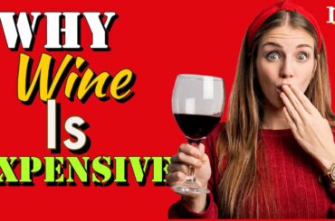 Why Is Wine So Expensive?