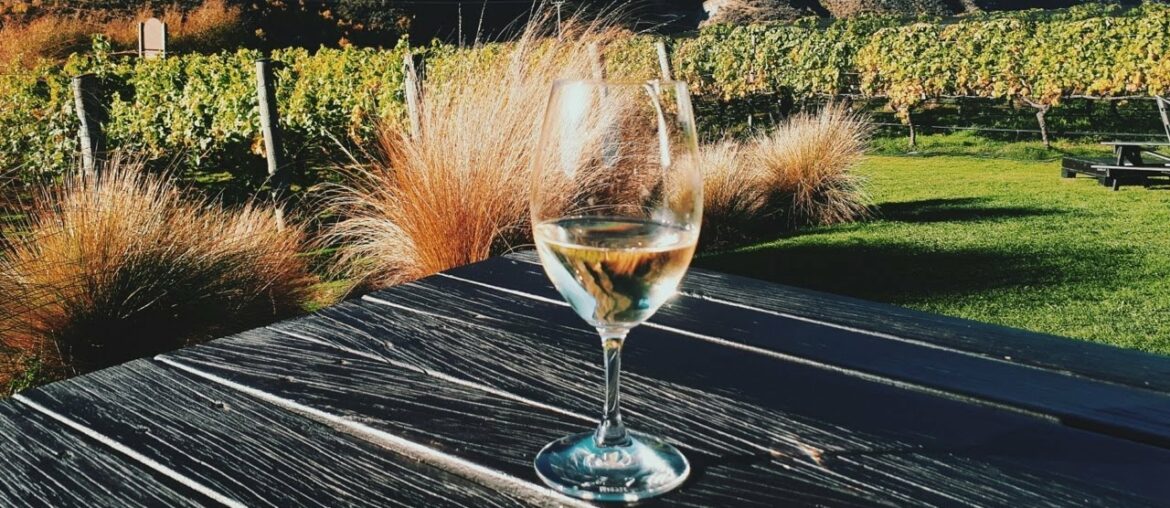 Sussex-made wine given ‘champagne-style status’ Sussex-made wine given ‘champagne-style status’