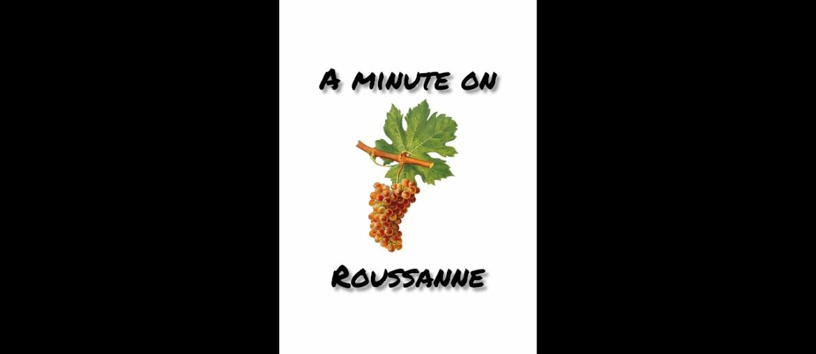Roussanne: A One Minute Summary on History, Growing, and Winemaking #shorts Roussanne: A One Minute Summary on History, Growing, and Winemaking #shorts