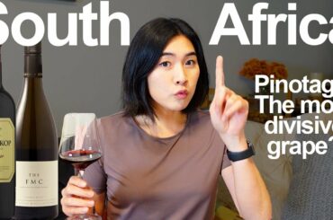 Quick & Easy Guide to Wines of South Africa - Where to find Great Value Wines