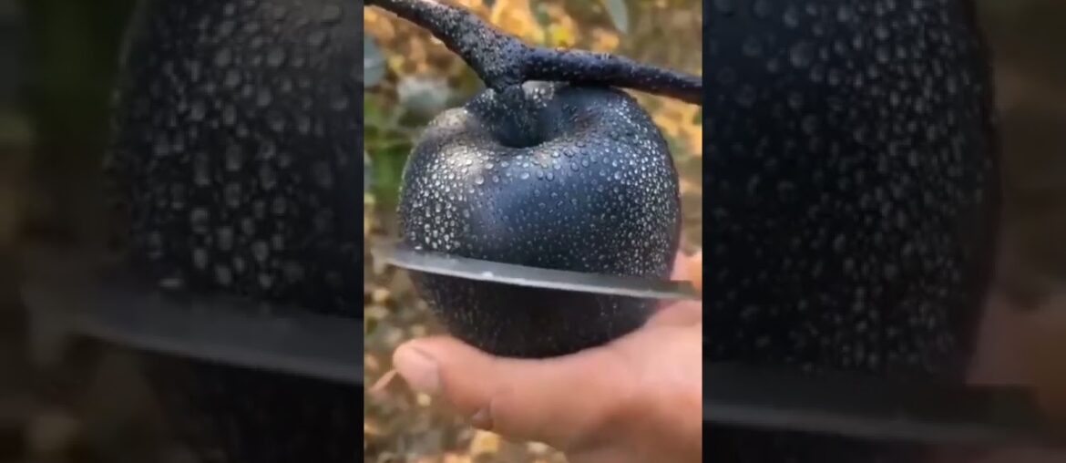 #shorts #viralvideo #satisfyingvideo #youtubeshorts #trending