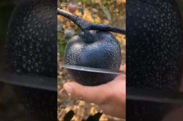 #shorts #viralvideo #satisfyingvideo #youtubeshorts #trending