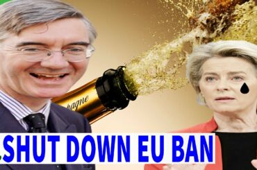 CUT All! Jacob Rees-Mogg blasts EU sparkling wine plastic bottle BAN in red tape fury