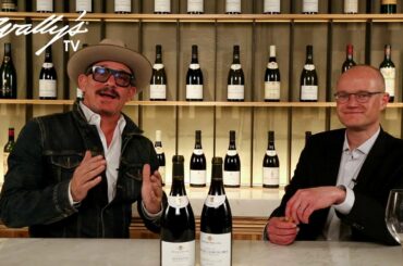 Cellarmaster of Iconic Burgundy Winery Discusses Innovative Wines and Sustainability Efforts