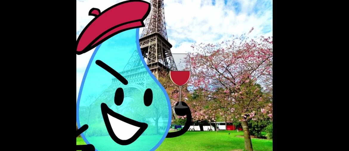 Teardrop (BFDI) in French meme