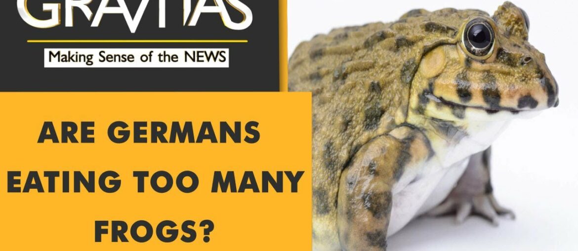 Gravitas: Frogs are being eaten to extinction