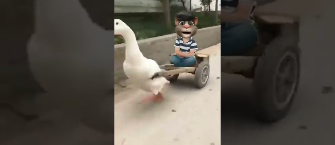 Tom funny viral video #shorts #viralvideo #satisfyingvideo #youtubeshorts #youtube #trending