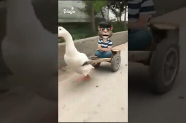 Tom funny viral video #shorts #viralvideo #satisfyingvideo #youtubeshorts #youtube #trending