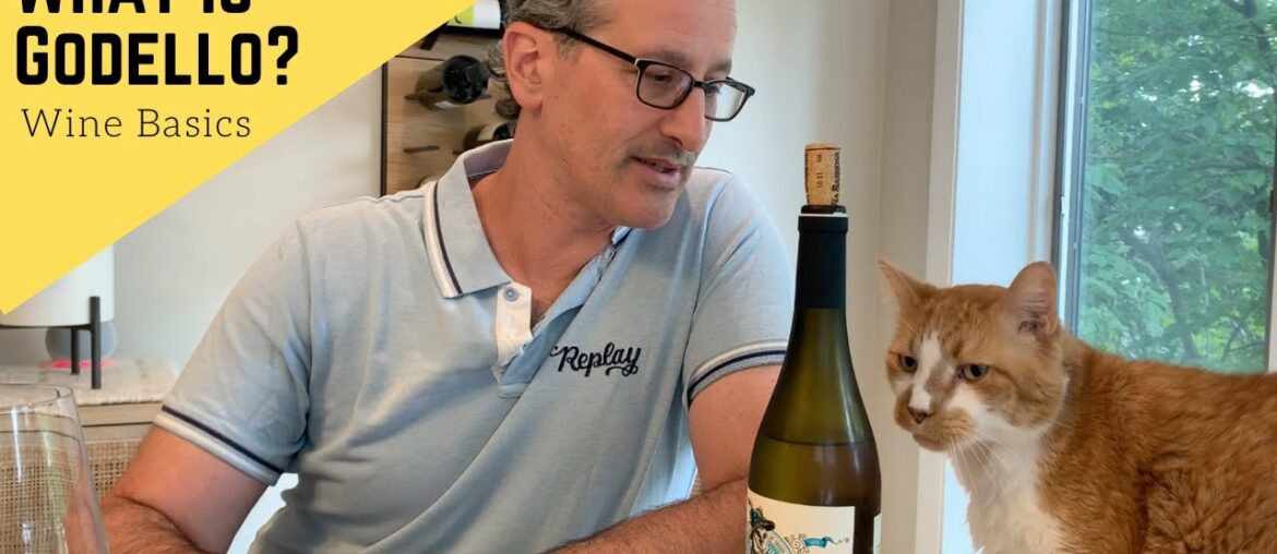 What is Godello? It Is Wine You Should Drink!! | Wine Basics What is Godello? It Is Wine You Should Drink!! | Wine Basics