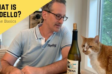 What is Godello?  It Is Wine You Should Drink!! | Wine Basics