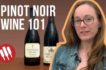 Pinot Noir (Everything you need to know) | Grapes 101
