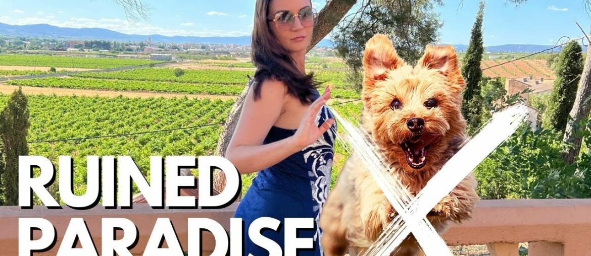 Valencia, wine paradise day trip RUINED