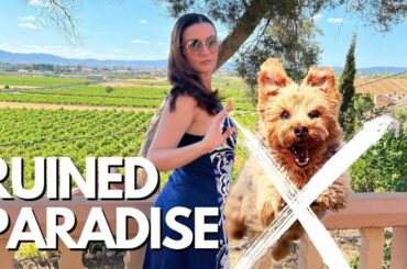 Valencia, wine paradise day trip RUINED