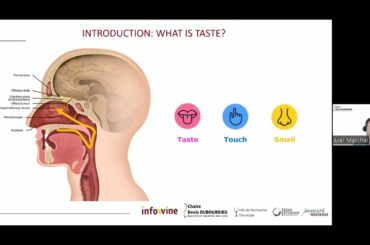 The components that cause the sweet sensation not related to sugars by Axel Marchal, ISVV, Bordeaux