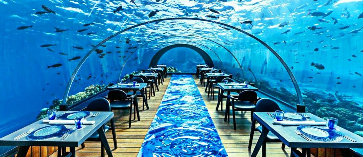 The Most Expensive Restaurant In The World The Most Expensive Restaurant In The World