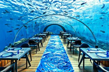 The Most Expensive Restaurant In The World