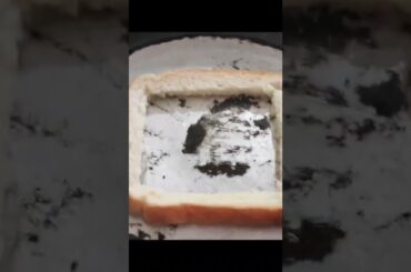 Egg toast | egg recipe | breakfast recipe | Shorts Potoba Indian Receipes | # French Toast |