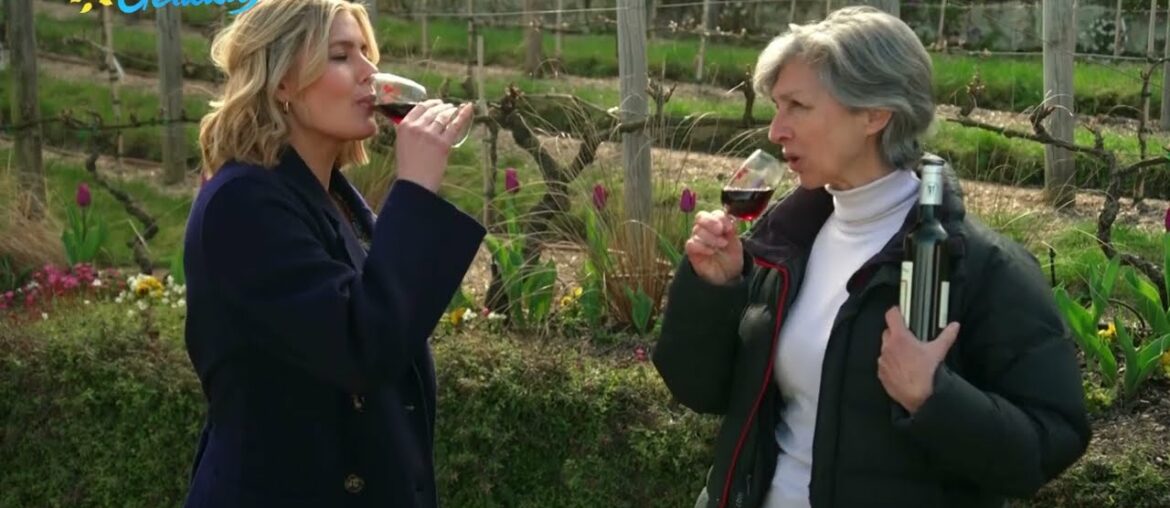 Getaway to Paris and Prague with travel presenter Sam McClymont  | Montmartre Vineyard