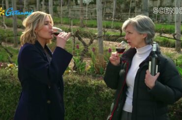 Getaway to Paris and Prague with travel presenter Sam McClymont  | Montmartre Vineyard