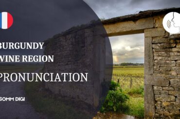 How To Pronounce The Names Of French Wines - Burgundy Edition - French Wine Pronunciation