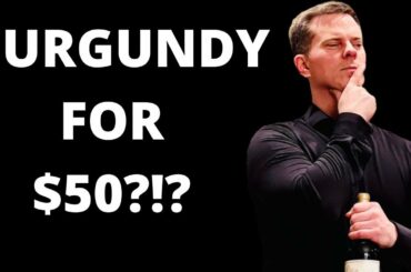 WINE COLLECTING - 10 TOP $50 BURGUNDY WINES (ATTORNEY SOMM)