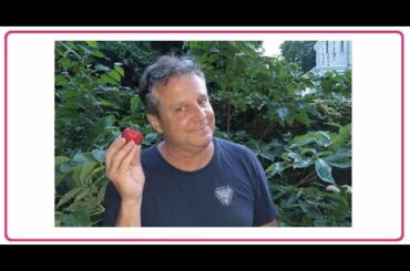 Dumpster Diving ALDI ~ Free Food and What We Did With It ~