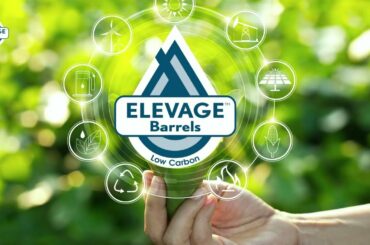 Elevage efficient low carbon oak wine barrels