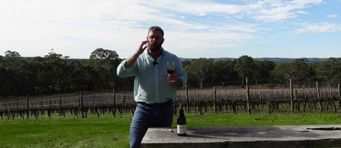 Taste Then Drink - Winter 2022. Episode: 4/6. 2020 Domaine Dubuet Boillot Beaune 'Les Prevoles'