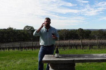 Taste Then Drink - Winter 2022. Episode: 4/6. 2020 Domaine Dubuet Boillot Beaune 'Les Prevoles'