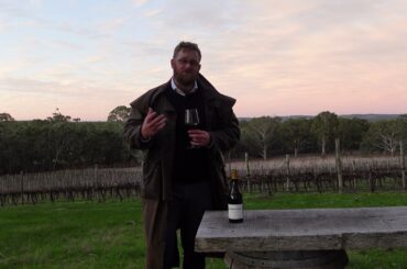 Taste Then Drink - Winter 2022. Episode: 2/6. 2020 Domaine Dubuet Boillot Bourgogne Cote d'Or Rouge