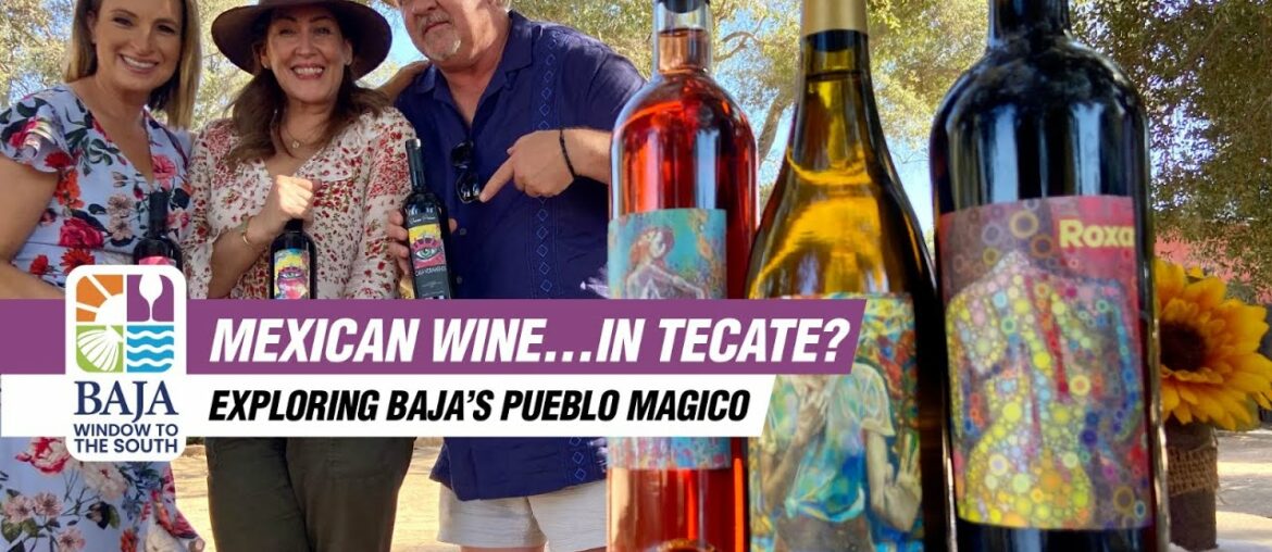 Baja California's Magical Town: Tecate! Wine, Gastronomy, and Desserts! | Baja Window to the South Baja California's Magical Town: Tecate! Wine, Gastronomy, and Desserts! | Baja Window to the South