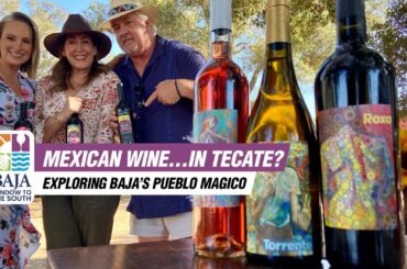 Baja California's Magical Town: Tecate! Wine, Gastronomy, and Desserts! | Baja Window to the South