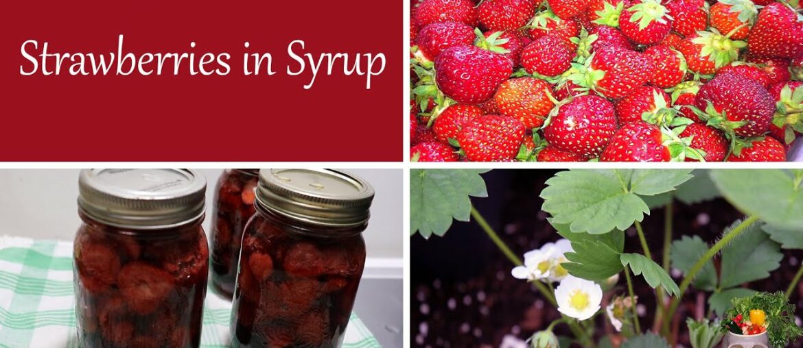 Preserving Strawberries in Syrup – How to preserve Preserving Strawberries in Syrup - How to preserve