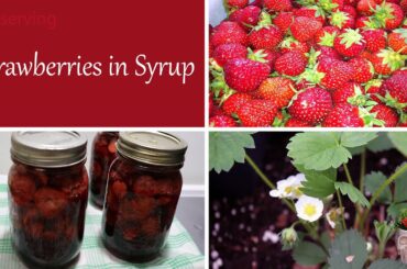 Preserving Strawberries in Syrup - How to preserve