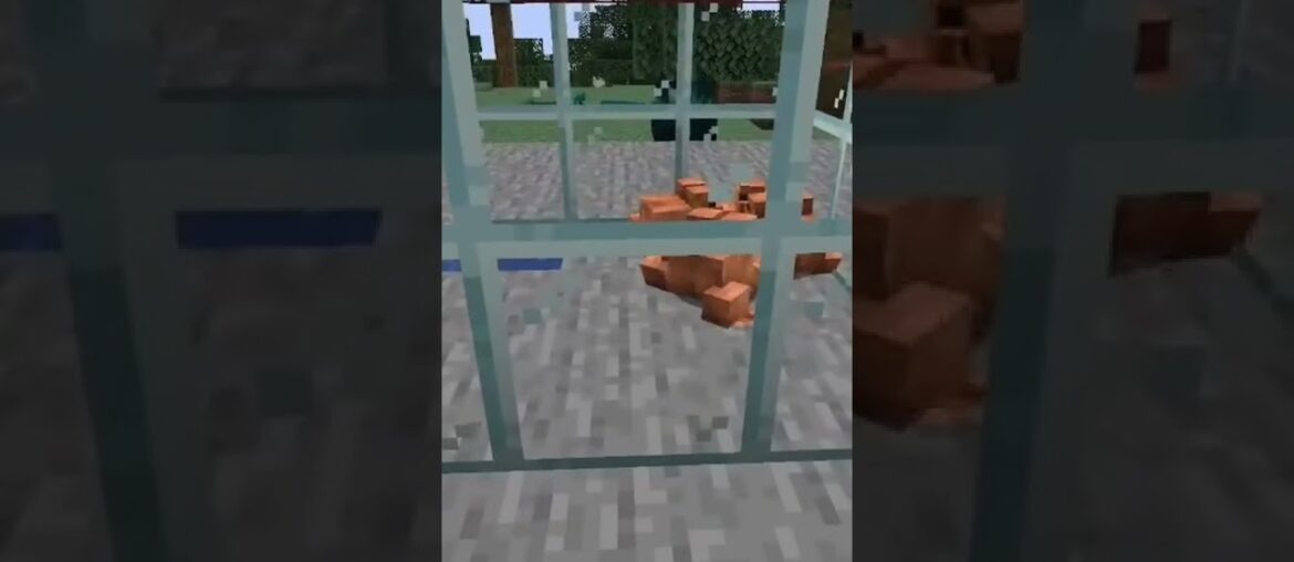 Just some totally normal Minecraft frogs, no French food to be seen here...