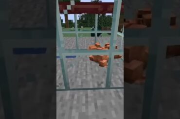 Just some totally normal Minecraft frogs, no French food to be seen here...