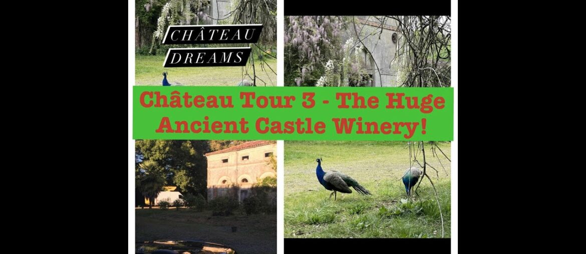 Chateau Dreams Chateau Tour 3 – Discovering WINE Making TREASURE & Tour the HUGE Castle Winery! Chateau Dreams Chateau Tour 3 - Discovering WINE Making TREASURE & Tour the HUGE Castle Winery!