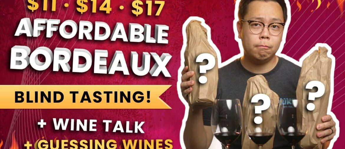 $15 Affordable Bordeaux Blind Tasting | Wine Verdict