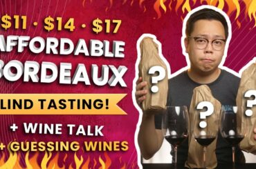 $15 Affordable Bordeaux Blind Tasting | Wine Verdict