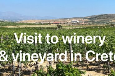 FARM UPDATE 67 HOLIDAY IN CRETE INC VISIT TO VINEYARD, WHEN BACK LOOKED AT ALL CROPS & PLAN HARVEST