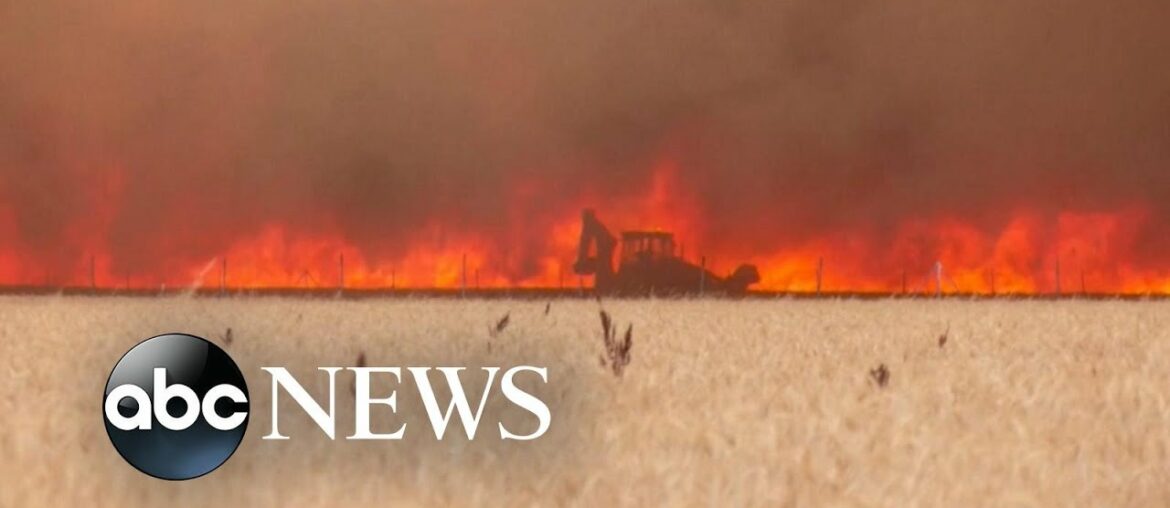French officials warn of 'heat apocalypse' as temps reach 109 degrees French officials warn of 'heat apocalypse' as temps reach 109 degrees