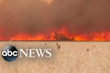 French officials warn of 'heat apocalypse' as temps reach 109 degrees