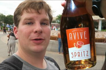 Grapefruit Wine and Remy's Ratatouille Adventure at EPCOT France Pavillion.