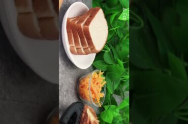 Elite Gourmet ESM2207# Sandwich Panini Maker Grilled Cheese Machine, Tuna Melt Omelets PFOA-Free