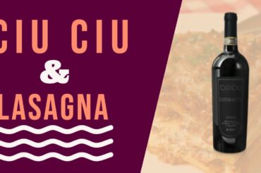 Best Red Wine to Pair w/Chef John's Amazing Lasagna