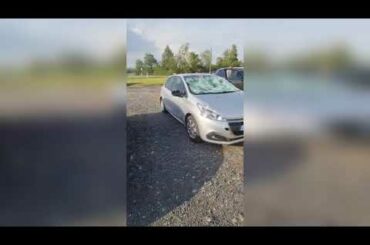 There will be no wine! The grape harvest is destroyed! Hail damage in France!