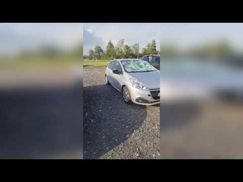 There will be no wine! The grape harvest is destroyed! Hail damage in France! There will be no wine! The grape harvest is destroyed! Hail damage in France!