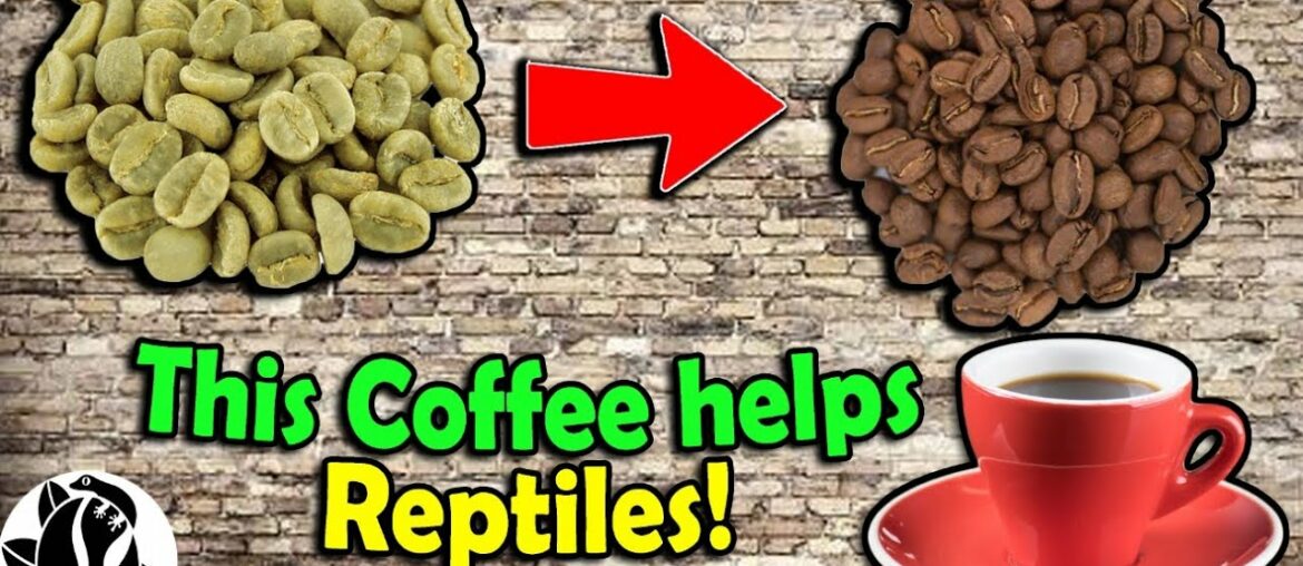 How is Coffee Made? We Tour a Roastery!