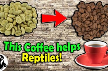 How is Coffee Made? We Tour a Roastery!